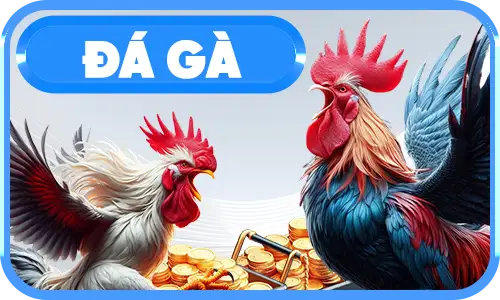Đá Gà