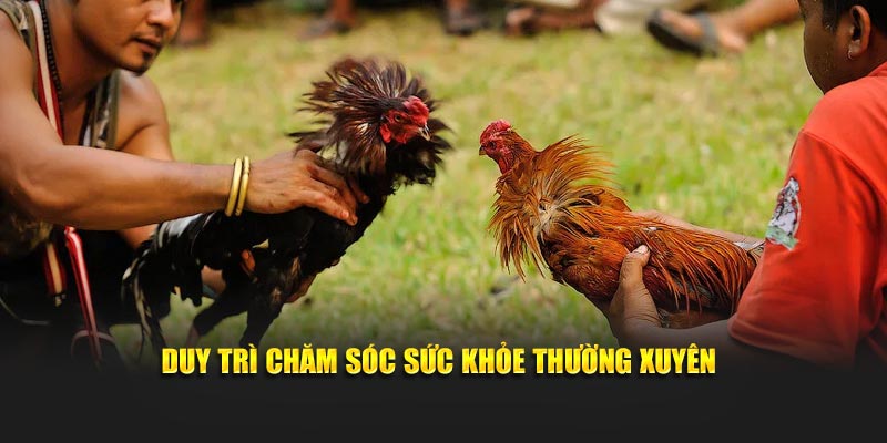 Duy trì chăm sóc sức khỏe thường xuyên