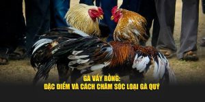 Gà Vẩy Rồng - BET88 Hướng Dẫn Cách Chăm Sóc Loại Gà Quý