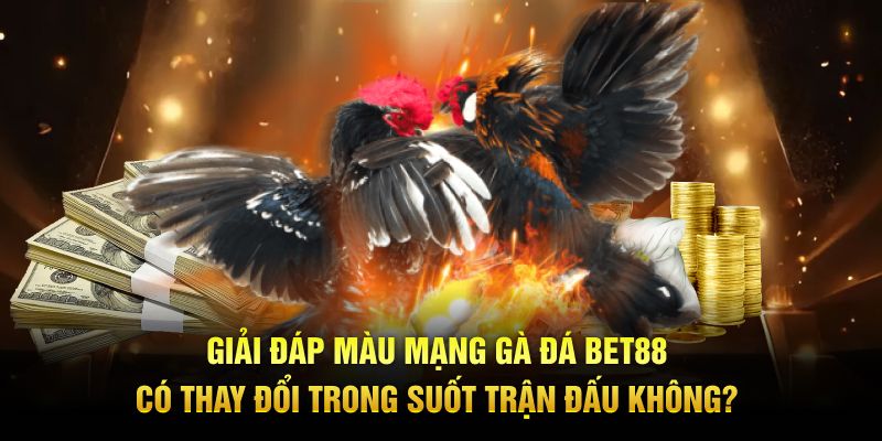 Giải đáp màu mạng gà đá BET88 có thay đổi trong suốt trận đấu không?