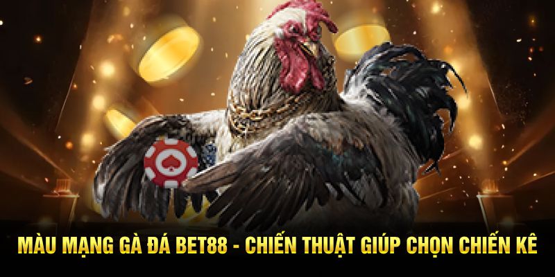 Màu Mạng Gà Đá - BET88 Đưa Ra Chiến Thuật Giúp Chọn Chiến Kê