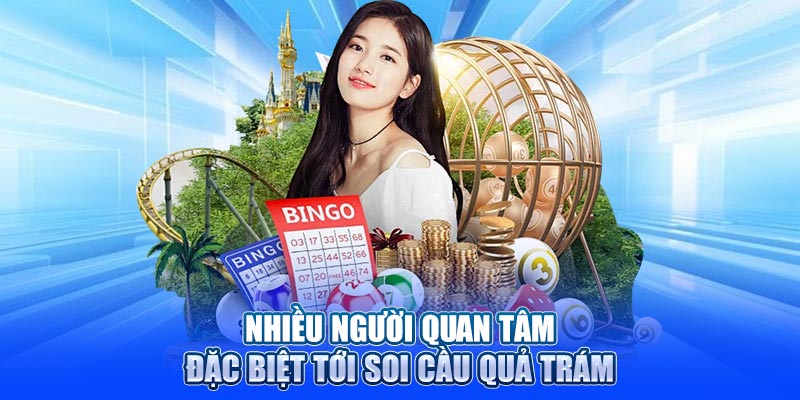 Nhiều người quan tâm đặc biệt tới soi cầu quả trám