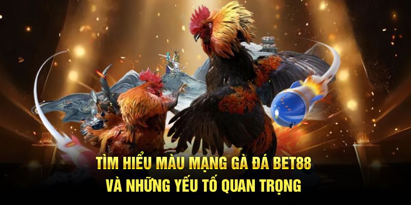 Tìm hiểu màu mạng gà đá BET88 và những yếu tố quan trọng